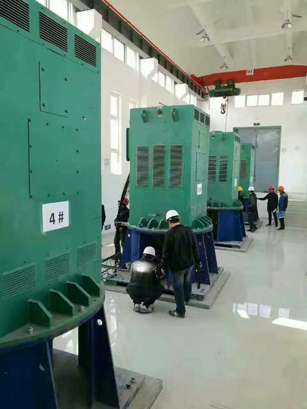 扎兰屯某污水处理厂使用我厂的立式高压电机安装现场